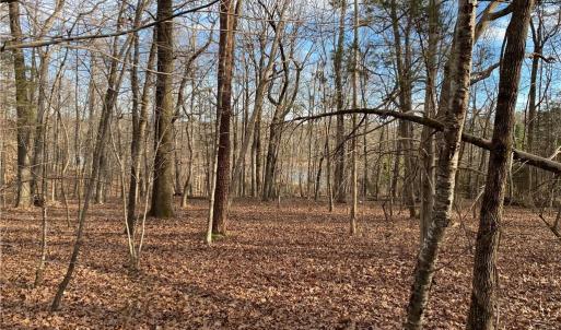 Photo #9 of 5724 Frieden Church, McLeansville, NC 20.9 acres