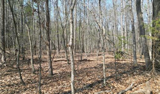 Photo #27 of Tilden Nursery, Lexington, NC 10.0 acres