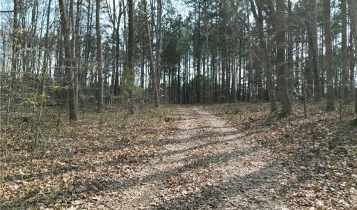 Photo #2 of Tilden Nursery, Lexington, NC 10.0 acres