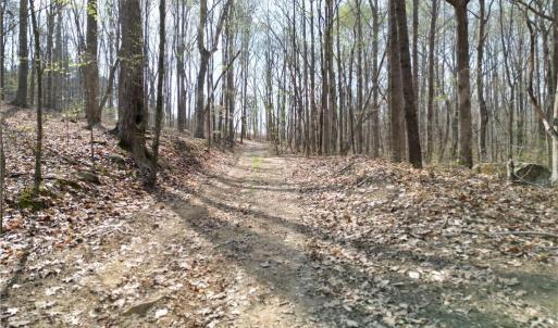 Photo #13 of Tilden Nursery, Lexington, NC 10.0 acres