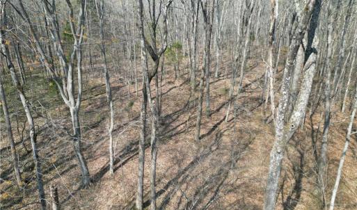 Photo #17 of Tilden Nursery, Lexington, NC 10.0 acres