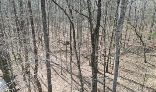 Photo #16 of Tilden Nursery, Lexington, NC 10.0 acres