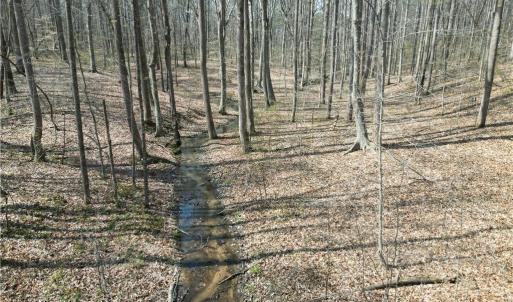 Photo #12 of Tilden Nursery, Lexington, NC 10.0 acres