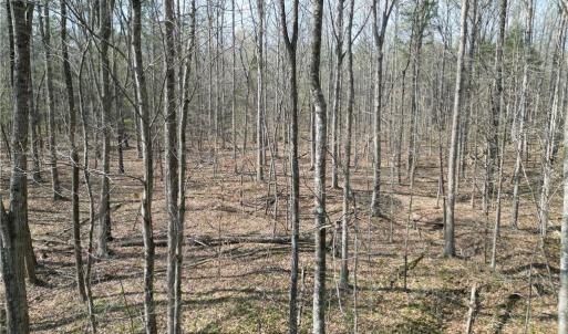 Photo #22 of Tilden Nursery, Lexington, NC 10.0 acres