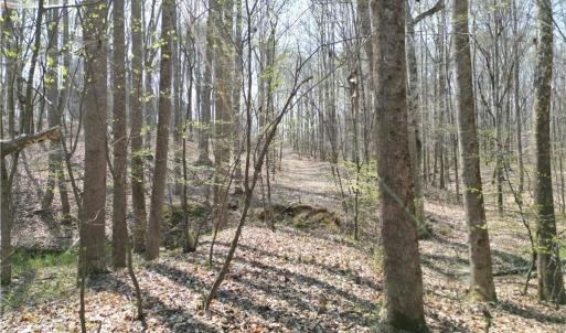 Photo #7 of Tilden Nursery, Lexington, NC 10.0 acres