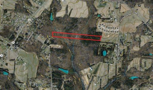 Photo #36 of Tilden Nursery, Lexington, NC 10.0 acres