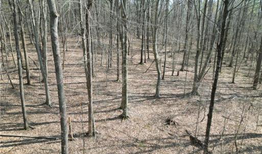 Photo #1 of Tilden Nursery, Lexington, NC 10.0 acres