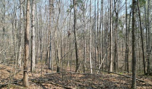 Photo #28 of Tilden Nursery, Lexington, NC 10.0 acres