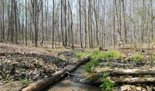 Photo #5 of Tilden Nursery, Lexington, NC 10.0 acres