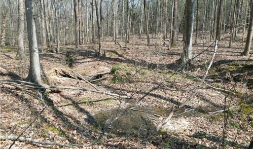 Photo #20 of Tilden Nursery, Lexington, NC 10.0 acres