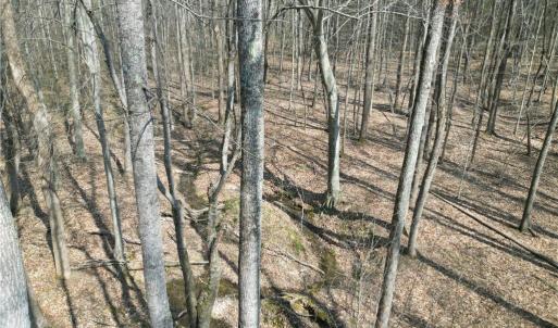 Photo #24 of Tilden Nursery, Lexington, NC 10.0 acres