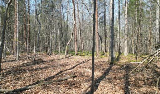 Photo #30 of Tilden Nursery, Lexington, NC 10.0 acres