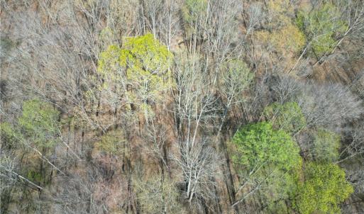 Photo #10 of Tilden Nursery, Lexington, NC 10.0 acres