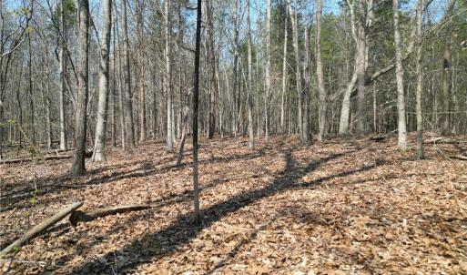 Photo #33 of Tilden Nursery, Lexington, NC 10.0 acres