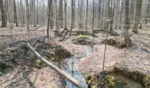 Photo #11 of Tilden Nursery, Lexington, NC 10.0 acres