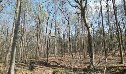 Photo #19 of Tilden Nursery, Lexington, NC 10.0 acres