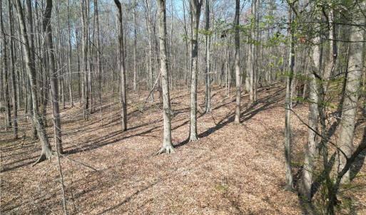 Photo #35 of Tilden Nursery, Lexington, NC 10.0 acres