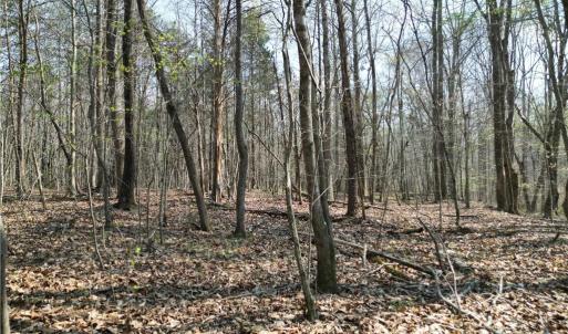 Photo #31 of Tilden Nursery, Lexington, NC 10.0 acres