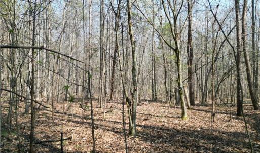 Photo #29 of Tilden Nursery, Lexington, NC 10.0 acres