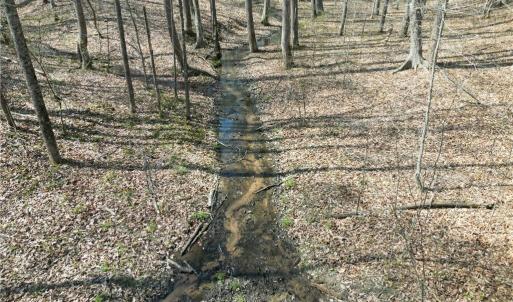 Photo #4 of Tilden Nursery, Lexington, NC 10.0 acres