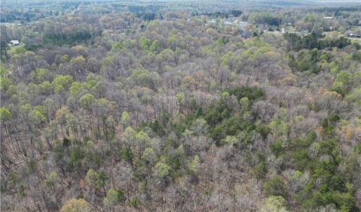 Photo #8 of Tilden Nursery, Lexington, NC 10.0 acres