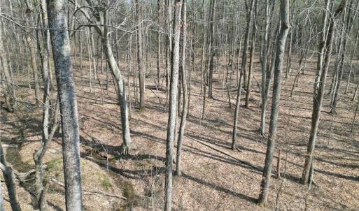 Photo #25 of Tilden Nursery, Lexington, NC 10.0 acres