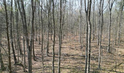 Photo #21 of Tilden Nursery, Lexington, NC 10.0 acres