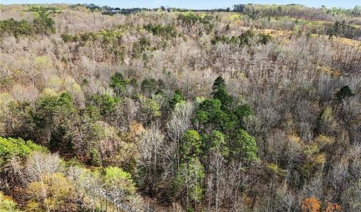 Photo #13 of Hidden Ridge, Tobaccoville, NC 39.8 acres
