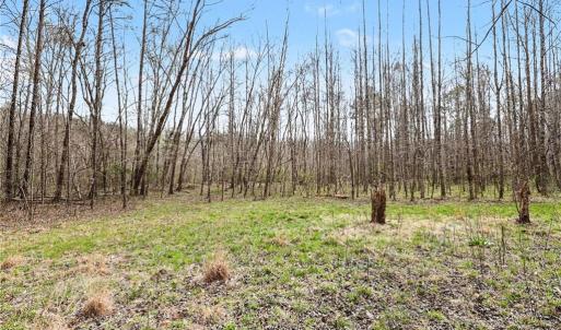 Photo #3 of Hidden Ridge, Tobaccoville, NC 39.8 acres