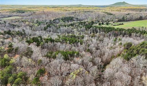 Photo #9 of Hidden Ridge, Tobaccoville, NC 39.8 acres