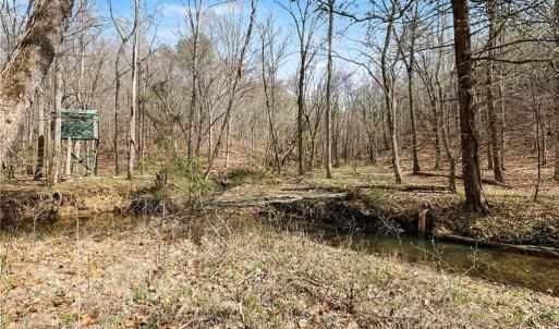Photo #6 of Hidden Ridge, Tobaccoville, NC 39.8 acres
