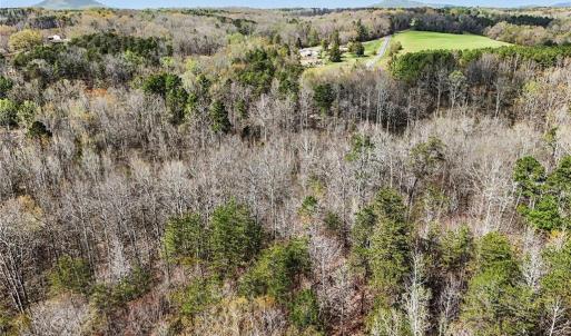 Photo #16 of Hidden Ridge, Tobaccoville, NC 39.8 acres