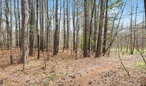 Photo #5 of Hidden Ridge, Tobaccoville, NC 39.8 acres