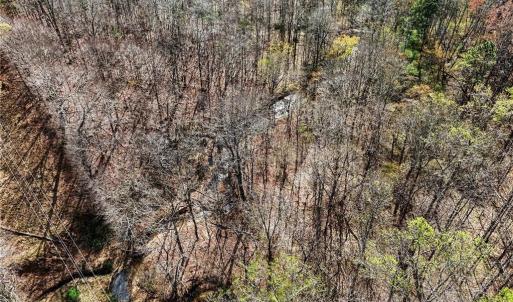 Photo #14 of Hidden Ridge, Tobaccoville, NC 39.8 acres