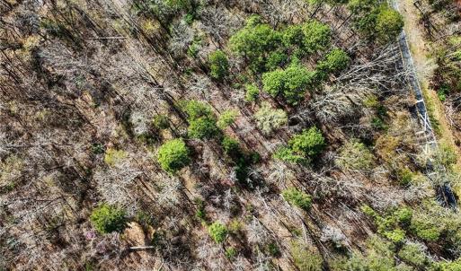 Photo #15 of Hidden Ridge, Tobaccoville, NC 39.8 acres