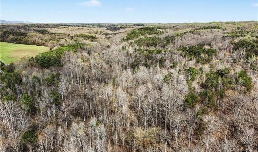 Photo #11 of Hidden Ridge, Tobaccoville, NC 39.8 acres