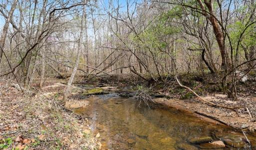 Photo #4 of Hidden Ridge, Tobaccoville, NC 39.8 acres
