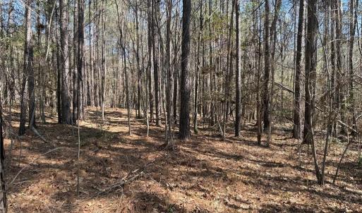 Photo #6 of Lot 16 Willie, Seagrove, NC 11.5 acres