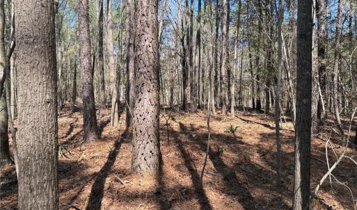 Photo #7 of Lot 16 Willie, Seagrove, NC 11.5 acres