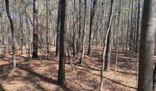 Photo #3 of Lot 16 Willie, Seagrove, NC 11.5 acres
