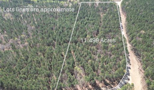 Photo #1 of Lot 16 Willie, Seagrove, NC 11.5 acres