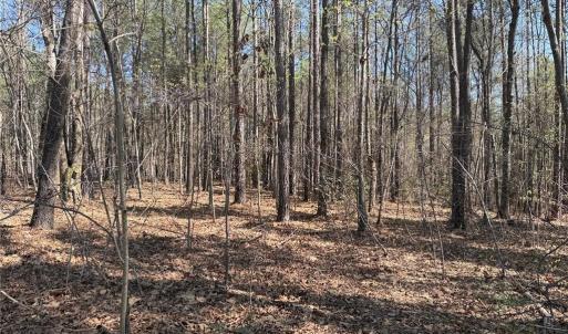 Photo #5 of Lot 16 Willie, Seagrove, NC 11.5 acres