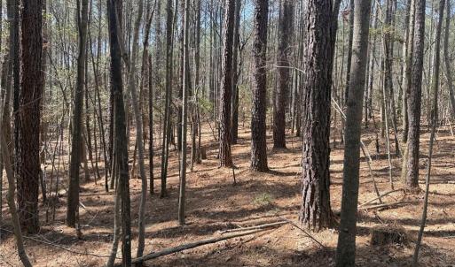 Photo #4 of Lot 16 Willie, Seagrove, NC 11.5 acres
