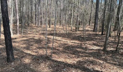 Photo #8 of Lot 16 Willie, Seagrove, NC 11.5 acres