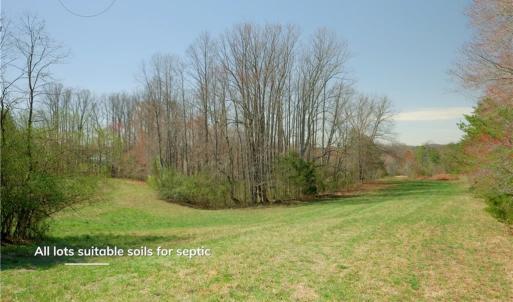 Photo #13 of 1-2 Flat Rock, Pinnacle, NC 7.9 acres