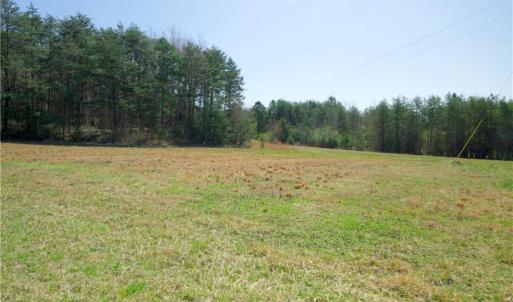 Photo #16 of 1-2 Flat Rock, Pinnacle, NC 7.9 acres