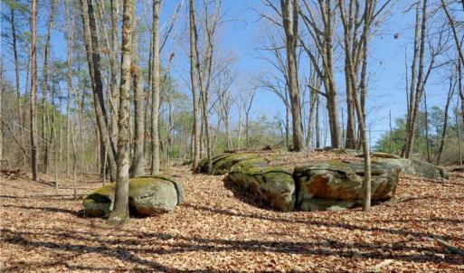 Photo #19 of 1-2 Flat Rock, Pinnacle, NC 7.9 acres