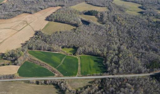 Photo #6 of 1337 Candy Creek, Reidsville, NC 23.4 acres