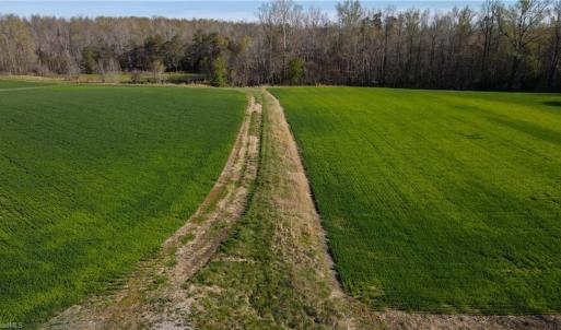 Photo #13 of 1337 Candy Creek, Reidsville, NC 23.4 acres
