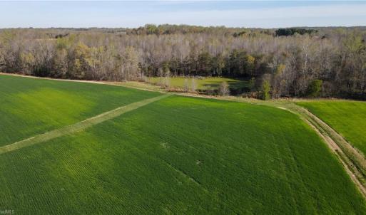 Photo #12 of 1337 Candy Creek, Reidsville, NC 23.4 acres